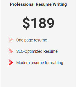 executive priority resume writing package